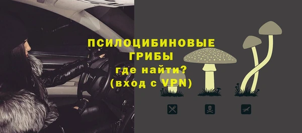 мяу мяу мука Нея
