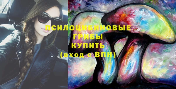 гидропоника Надым