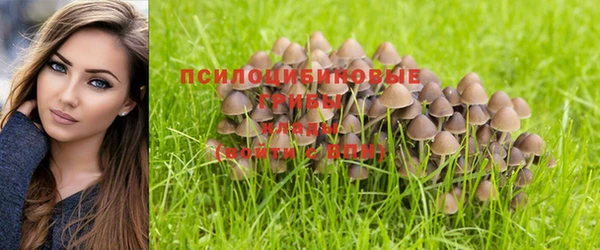 PSILOCYBIN Волоколамск