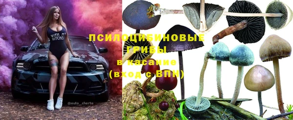 гидропоника Надым