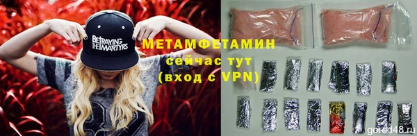 прущие грибы Нефтекумск