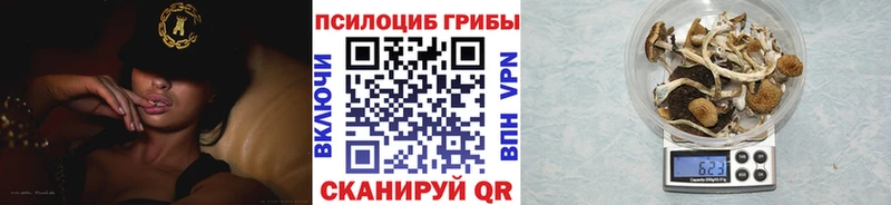 Галлюциногенные грибы Magic Shrooms  Кемь 